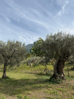 /album/galleria-di-foto/whatsapp-image-2025-10-12-at-15-21-38-jpeg/